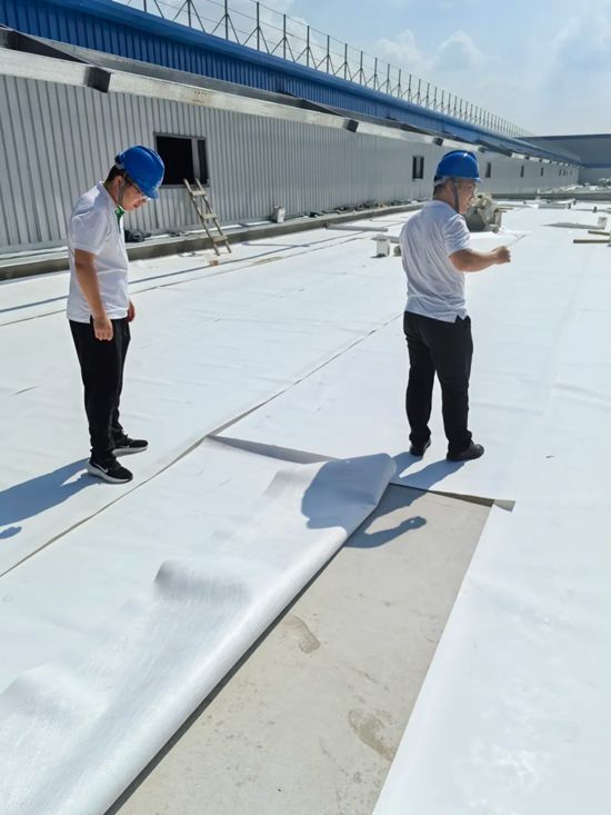 三棵樹(shù)TPO防水卷材為中天鋼鐵集團(tuán)工廠建設(shè)注入可靠保障