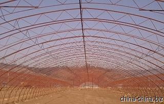 專業(yè)生產(chǎn)安裝雙層溫室大棚鋼骨架 高效農(nóng)業(yè)溫室建設(shè)解決方案